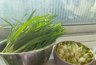 水仙花不喜欢什么 水仙花不喜欢什么