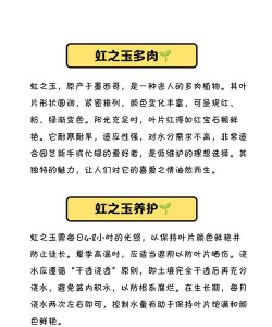 虹之玉怎么让叶子变红 虹之玉怎么让叶子变红