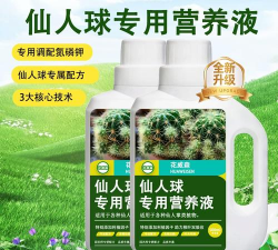 仙人掌类肥料是什么 仙人掌类肥料是什么