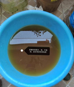 怎样给花沤肥用什么沤 怎样给花沤肥用什么沤