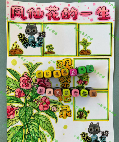 凤仙花怎么种呢 凤仙花怎么种呢