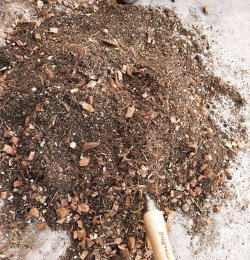 木屑养花吗 木屑养花吗