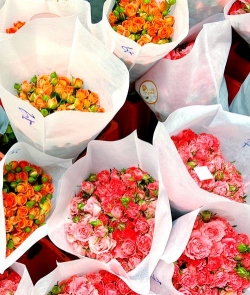 鲜花为什么拍卖 鲜花为什么拍卖