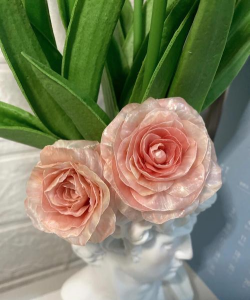 柚子皮 养花 柚子皮 养花