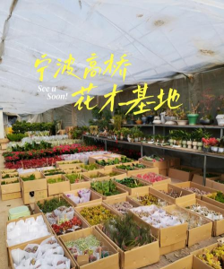 宁波花木基地怎么样 宁波花木基地怎么样