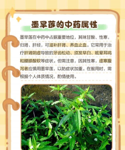 绿植叶子发黑用什么药 绿植叶子发黑用什么药