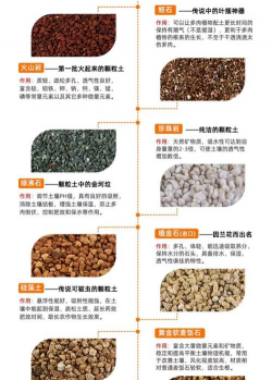养花土壤成分 养花土壤成分