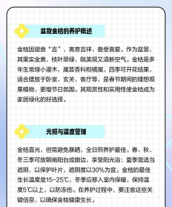 橘子树盆栽如何繁殖 橘子树盆栽如何繁殖