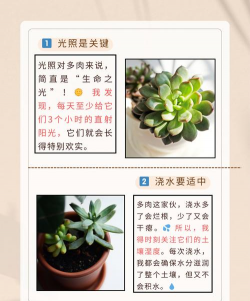 如何让多肉植物长胖 如何让多肉植物长胖