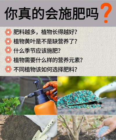 植物施肥过多怎么办 植物施肥过多怎么办