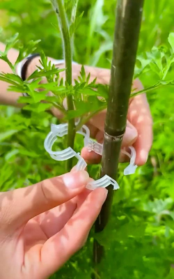 养花支架扣 养花支架扣