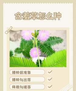 草如何自己繁殖 草如何自己繁殖