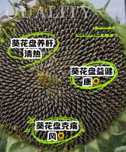 向日葵盆有什么功効 向日葵盆有什么功効