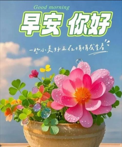 四月花事一点通 四月花事一点通