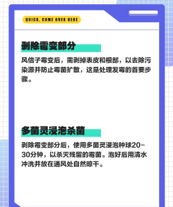风信子发霉是什么原因 风信子发霉是什么原因