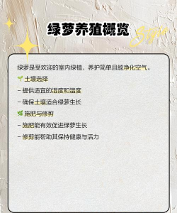 绿萝树怎么养长得快 绿萝树怎么养长得快