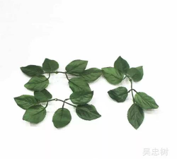 玫瑰花叶都能干什么 玫瑰花叶都能干什么