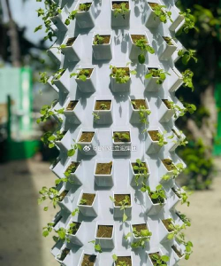 柱子下养花 柱子下养花