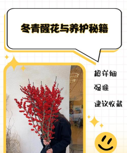 冬青怎么醒花 冬青怎么醒花