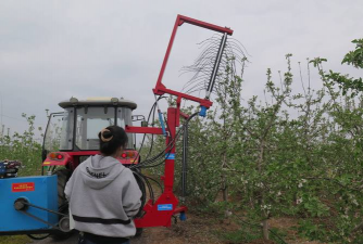生产优质苹果的修剪技术 生产优质苹果的修剪技术