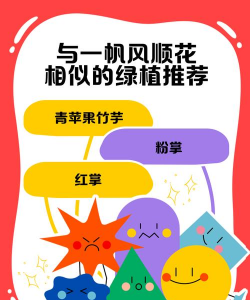 一帆风顺跟什么花很像 一帆风顺跟什么花很像