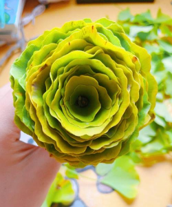 手掌形的叶子怎么做花 手掌形的叶子怎么做花