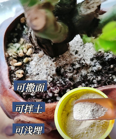 骨粉养花优势 骨粉养花优势