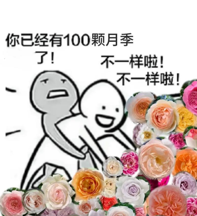 养花搞笑合集 养花搞笑合集