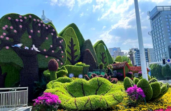 五一摆什么花卉 五一摆什么花卉