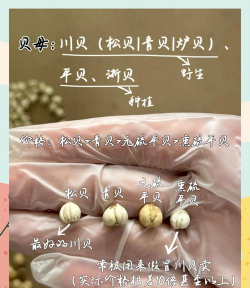 川贝母栽培技术 川贝母栽培技术