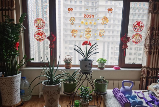 昆山客厅养花 昆山客厅养花