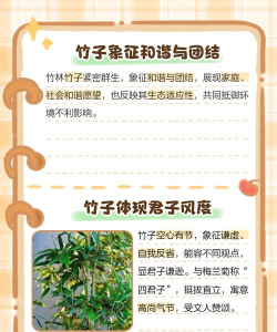 竹子像征哪些人 竹子像征哪些人