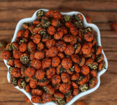 昆仑雪菊播种后的管理 昆仑雪菊播种后的管理