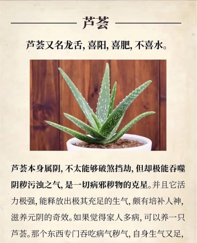 有植物的地方有哪些好处 有植物的地方有哪些好处