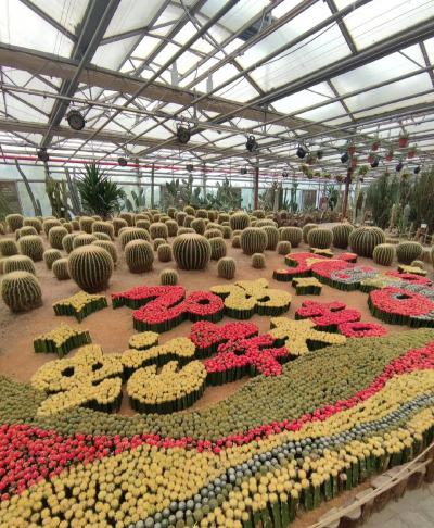 花卉大观园都有哪些区 花卉大观园都有哪些区