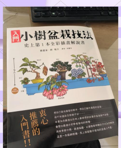 盆景养花教程 盆景养花教程