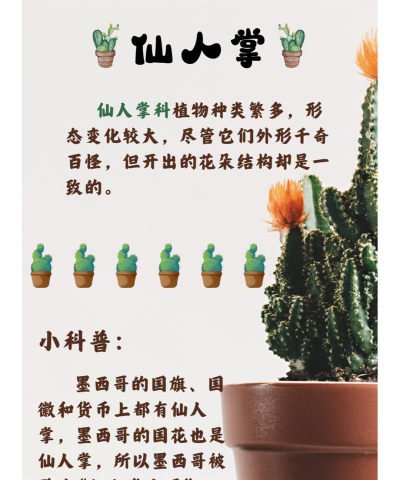 仙人掌有什么习性 仙人掌有什么习性