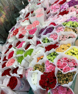 完美鲜花批发怎么样 完美鲜花批发怎么样