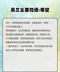 吊篮花什么寓意 吊篮花什么寓意