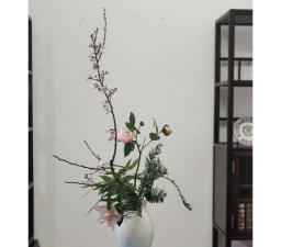 古代著名的养花 古代著名的养花