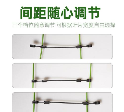 君子兰叶子怎么矫正 君子兰叶子怎么矫正