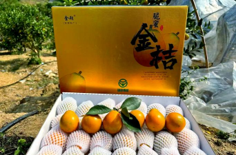 2020年柑橘的价格预测 2020年柑橘的价格预测