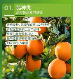 纽荷尔脐橙多少钱纽荷尔栽培技术简介 纽荷尔脐橙多少钱纽荷尔栽培技术简介