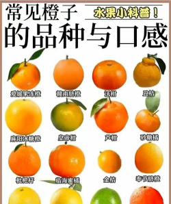 柑橘常见种类有哪些柑橘品种大全介绍 柑橘常见种类有哪些柑橘品种大全介绍