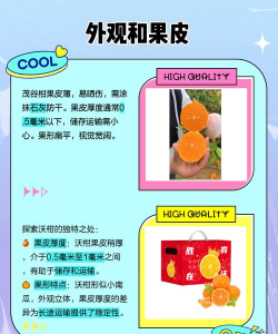 沃柑和茂谷柑怎么辨别 沃柑和茂谷柑怎么辨别