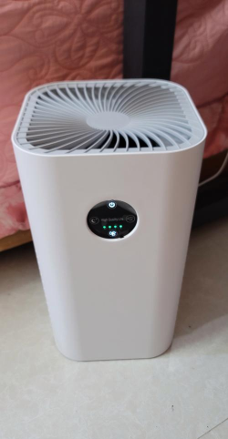 净化空气物质有哪些 净化空气物质有哪些