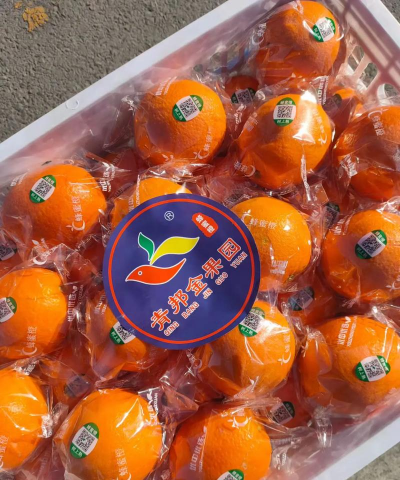 赣南脐橙的等待之蜂蜜脐橙 赣南脐橙的等待之蜂蜜脐橙