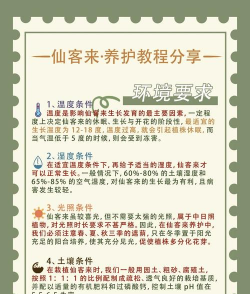 怎么养仙客来花种 怎么养仙客来花种