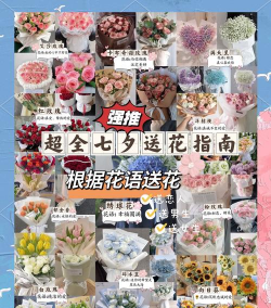 朋友送花如何养花 朋友送花如何养花