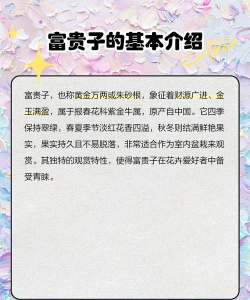 富贵子花怎么养殖 富贵子花怎么养殖